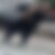 Blurred profile picture
