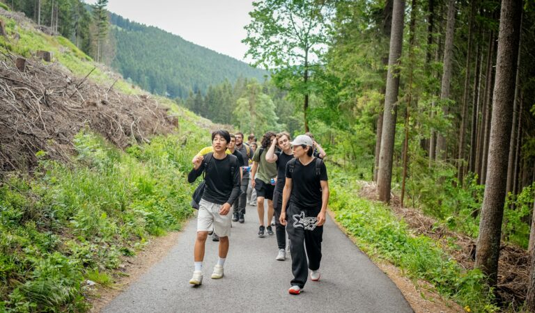 hiking activity